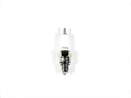 SPARK PLUG NGK CR7HSA