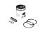 PISTON 41.50 KIT DENTED