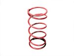 CLUTCH SPRING D46 32KG