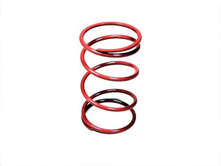 CLUTCH SPRING D50 35KG