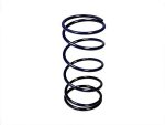 CLUTCH SPRING D46 27KG