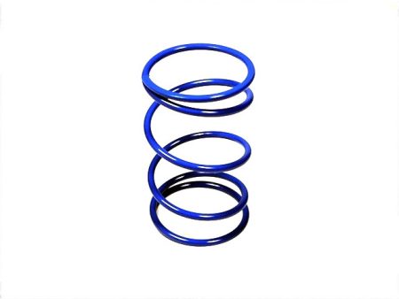 CLUTCH SPRING D50 25KG