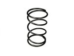 CLUTCH SPRING STANDARD 4T