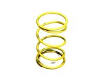 CLUTCH SPRING PIAGGIO