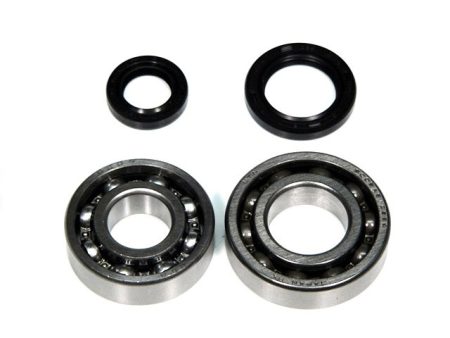 BALLS BEARING+OIL SEALS KIT SEPIA