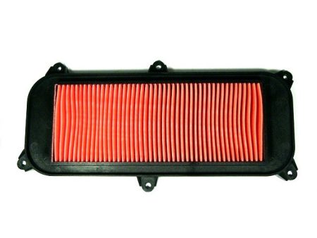 AIR CLEANER ELEMENT GRAND DINK