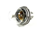 BULB 12 V 45/40 W P45T