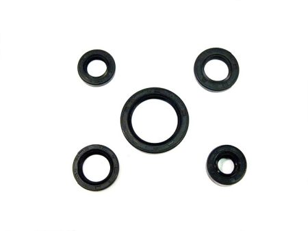 OIL SEAL KIT QUAD 110CCM