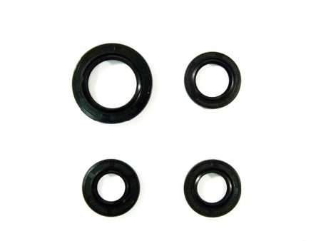 OIL SEAL KIT 4T