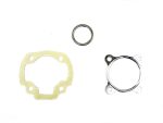 GASKET SET BWS 70 CCM