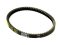 DRIVE BELT AGILITY 10" AD50,SEPIA /GATES/