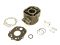 CYLINDER KIT. 50CCM LC. RS06-10 SENDA05-0