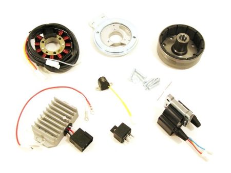 IGNITION SET ASSY /VAPE/ 559-360