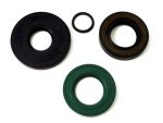 OIL SEAL KIT