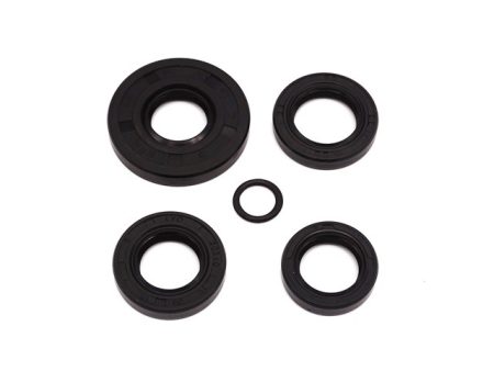 OIL SEAL SET